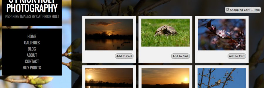 CPriorHolt Photography